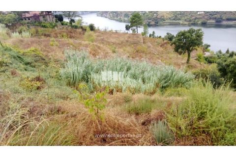 Terra a Resende, Viseu, Resende - € 350.000 | Ref: MC09732 - foto 9