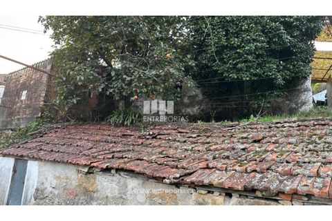 Landejendom i Penhalonga e Pacos de Gaiolo, Porto, Penhalonga e Pacos de Gaiolo - € 145.000 | Ref: MC09738 - foto 5