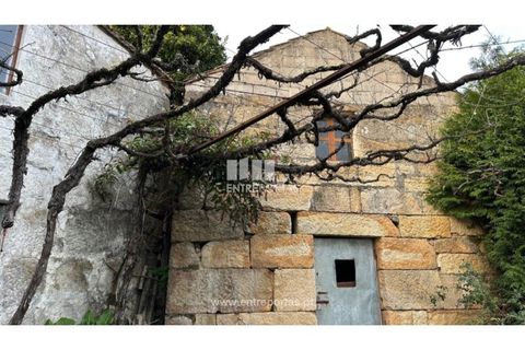 Landejendom i Penhalonga e Pacos de Gaiolo, Porto, Penhalonga e Pacos de Gaiolo - € 145.000 | Ref: MC09738 - foto 6