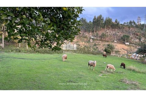 Landejendom i Penhalonga e Pacos de Gaiolo, Porto, Penhalonga e Pacos de Gaiolo - € 145.000 | Ref: MC09738 - foto 7