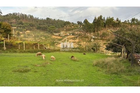Landejendom i Penhalonga e Pacos de Gaiolo, Porto, Penhalonga e Pacos de Gaiolo - € 145.000 | Ref: MC09738 - foto 12