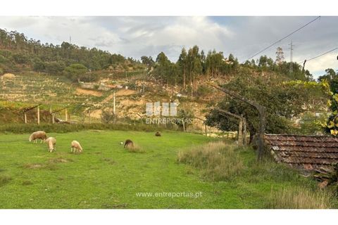 Landejendom i Penhalonga e Pacos de Gaiolo, Porto, Penhalonga e Pacos de Gaiolo - € 145.000 | Ref: MC09738 - foto 14