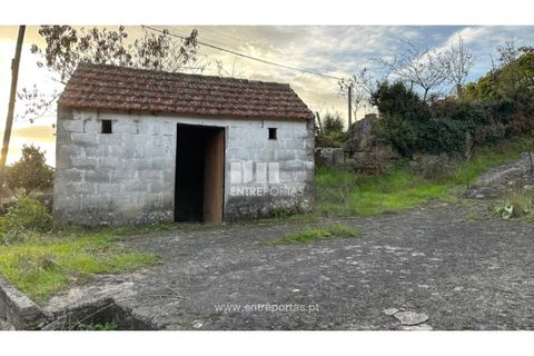Landejendom i Penhalonga e Pacos de Gaiolo, Porto, Penhalonga e Pacos de Gaiolo - € 145.000 | Ref: MC09738 - foto 15
