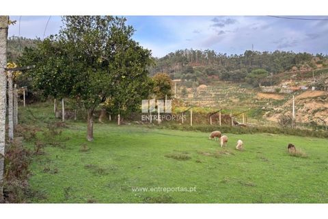 Landejendom i Penhalonga e Pacos de Gaiolo, Porto, Penhalonga e Pacos de Gaiolo - € 145.000 | Ref: MC09738 - foto 16