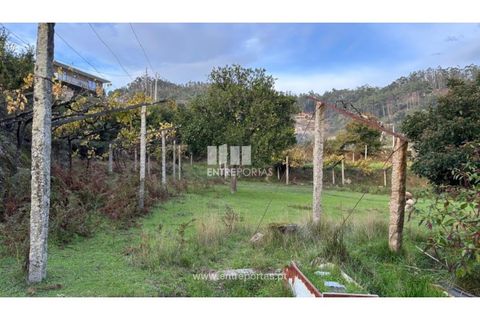 Landejendom i Penhalonga e Pacos de Gaiolo, Porto, Penhalonga e Pacos de Gaiolo - € 145.000 | Ref: MC09738 - foto 17