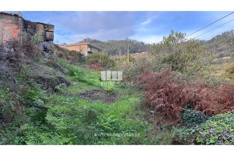 Landejendom i Penhalonga e Pacos de Gaiolo, Porto, Penhalonga e Pacos de Gaiolo - € 145.000 | Ref: MC09738 - foto 19