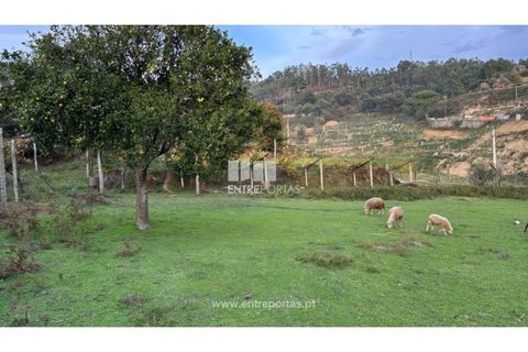 Landejendom i Penhalonga e Pacos de Gaiolo, Porto, Penhalonga e Pacos de Gaiolo - € 145.000 | Ref: MC09738 - foto 20