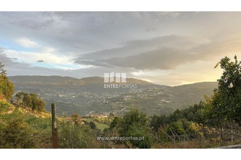 Landejendom i Penhalonga e Pacos de Gaiolo, Porto, Penhalonga e Pacos de Gaiolo - € 145.000 | Ref: MC09738 - foto 32