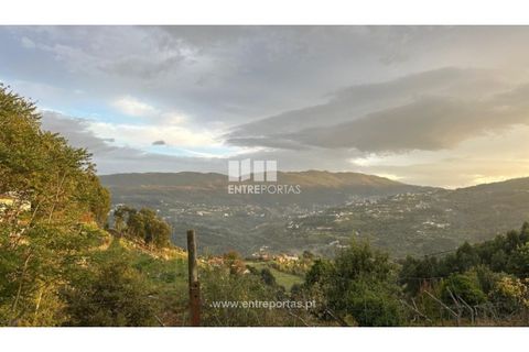 Landejendom i Penhalonga e Pacos de Gaiolo, Porto, Penhalonga e Pacos de Gaiolo - € 145.000 | Ref: MC09738 - foto 33