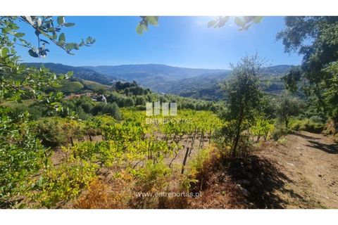 Helårsgrund i Ancede e Ribadouro, Porto, Ancede e Ribadouro - € 37.500 | Ref: MC09731 - foto 12