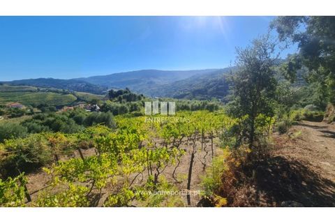 Helårsgrund i Ancede e Ribadouro, Porto, Ancede e Ribadouro - € 37.500 | Ref: MC09731 - foto 13