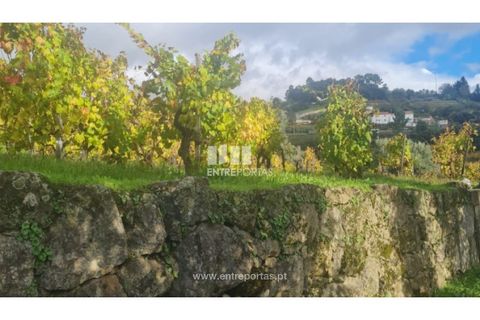 Helårsgrund i Ancede e Ribadouro, Porto, Ancede e Ribadouro - € 37.500 | Ref: MC09731 - foto 18