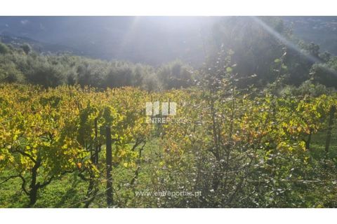 Helårsgrund i Ancede e Ribadouro, Porto, Ancede e Ribadouro - € 37.500 | Ref: MC09731 - foto 20