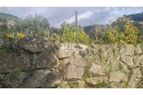 Helårsgrund i Ancede e Ribadouro, Porto, Ancede e Ribadouro - € 37.500 | Ref: MC09731 - foto 23