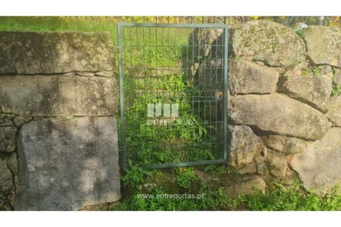 Helårsgrund i Ancede e Ribadouro, Porto, Ancede e Ribadouro - € 37.500 | Ref: MC09731 - foto 24
