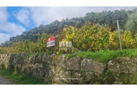 Helårsgrund i Ancede e Ribadouro, Porto, Ancede e Ribadouro - € 37.500 | Ref: MC09731 - foto 25