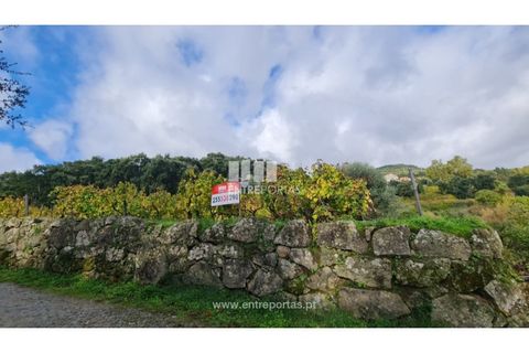 Helårsgrund i Ancede e Ribadouro, Porto, Ancede e Ribadouro - € 37.500 | Ref: MC09731 - foto 26