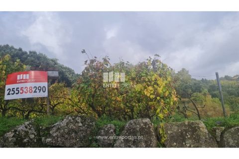 Helårsgrund i Ancede e Ribadouro, Porto, Ancede e Ribadouro - € 37.500 | Ref: MC09731 - foto 27