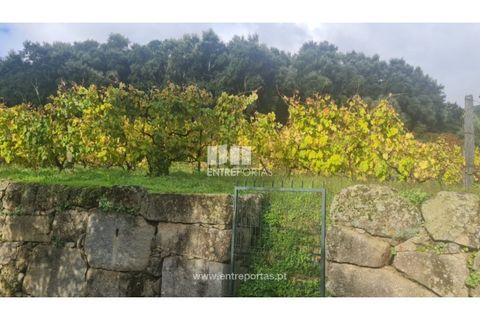 Helårsgrund i Ancede e Ribadouro, Porto, Ancede e Ribadouro - € 37.500 | Ref: MC09731 - foto 32
