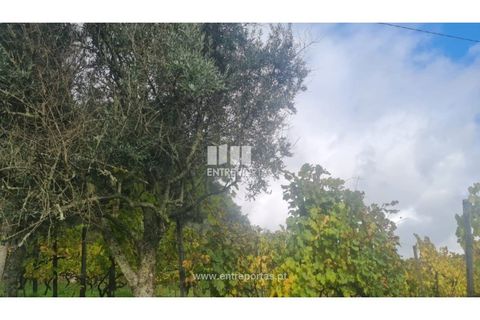 Helårsgrund i Ancede e Ribadouro, Porto, Ancede e Ribadouro - € 37.500 | Ref: MC09731 - foto 34