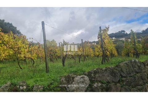 Helårsgrund i Ancede e Ribadouro, Porto, Ancede e Ribadouro - € 37.500 | Ref: MC09731 - foto 35