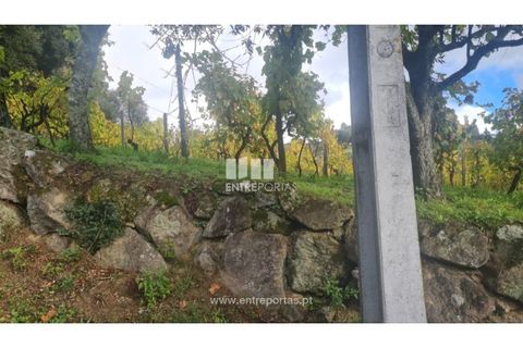 Helårsgrund i Ancede e Ribadouro, Porto, Ancede e Ribadouro - € 37.500 | Ref: MC09731 - foto 37