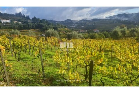 Helårsgrund i Ancede e Ribadouro, Porto, Ancede e Ribadouro - € 37.500 | Ref: MC09731 - foto 40