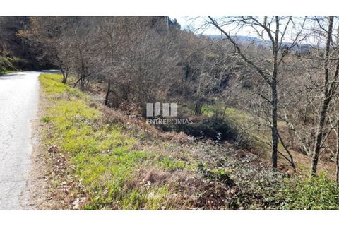 Helårsgrund i Amarante, Porto, Amarante - € 64.000 | Ref: MC09408 - foto 2