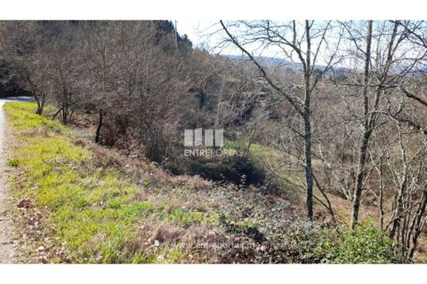 Helårsgrund i Amarante, Porto, Amarante - € 64.000 | Ref: MC09408 - foto 3