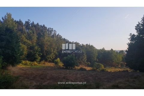Helårsgrund i Amarante, Porto, Amarante - € 64.000 | Ref: MC09408 - foto 4