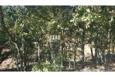 Helårsgrund i Amarante, Porto, Amarante - € 64.000 | Ref: MC09408 - foto 5