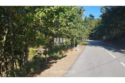 Helårsgrund i Amarante, Porto, Amarante - € 64.000 | Ref: MC09408 - foto 6