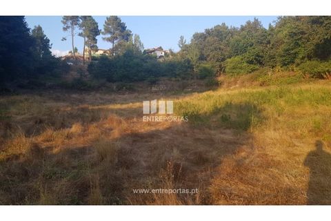 Helårsgrund i Amarante, Porto, Amarante - € 64.000 | Ref: MC09408 - foto 7