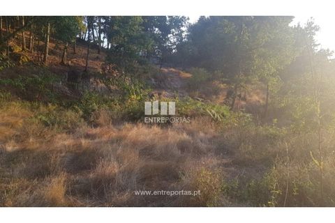 Helårsgrund i Amarante, Porto, Amarante - € 64.000 | Ref: MC09408 - foto 8