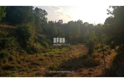 Helårsgrund i Amarante, Porto, Amarante - € 64.000 | Ref: MC09408 - foto 9