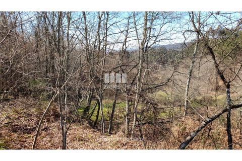 Helårsgrund i Amarante, Porto, Amarante - € 64.000 | Ref: MC09408 - foto 10