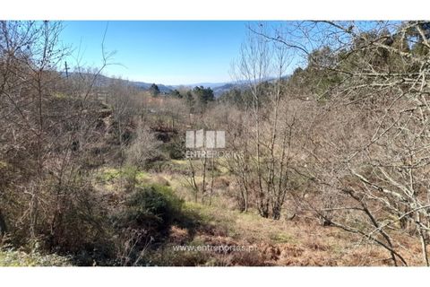 Helårsgrund i Amarante, Porto, Amarante - € 64.000 | Ref: MC09408 - foto 11