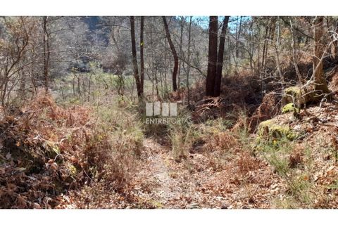 Helårsgrund i Amarante, Porto, Amarante - € 64.000 | Ref: MC09408 - foto 12