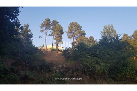 Helårsgrund i Amarante, Porto, Amarante - € 64.000 | Ref: MC09408 - foto 13