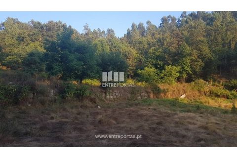 Helårsgrund i Amarante, Porto, Amarante - € 64.000 | Ref: MC09408 - foto 14