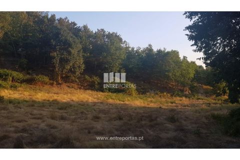 Helårsgrund i Amarante, Porto, Amarante - € 64.000 | Ref: MC09408 - foto 15