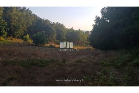 Helårsgrund i Amarante, Porto, Amarante - € 64.000 | Ref: MC09408 - foto 16