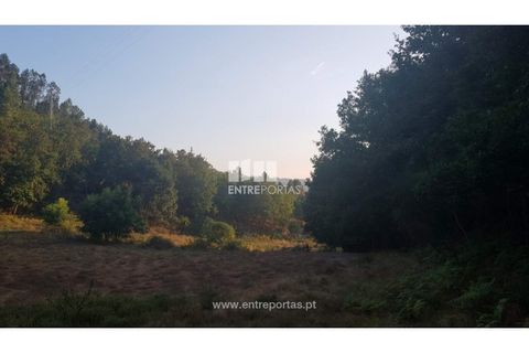 Helårsgrund i Amarante, Porto, Amarante - € 64.000 | Ref: MC09408 - foto 17