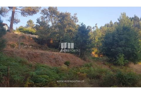Helårsgrund i Amarante, Porto, Amarante - € 64.000 | Ref: MC09408 - foto 18