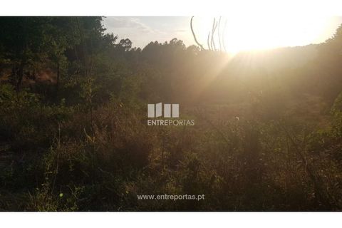 Helårsgrund i Amarante, Porto, Amarante - € 64.000 | Ref: MC09408 - foto 19