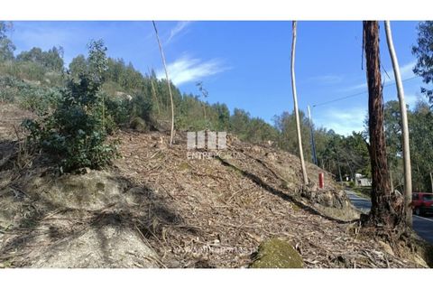 Helårsgrund i Penafiel, Porto, Penafiel - € 5.500 | Ref: MC09648 - foto 1