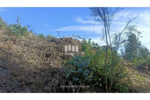 Helårsgrund i Penafiel, Porto, Penafiel - € 5.500 | Ref: MC09648 - foto 3