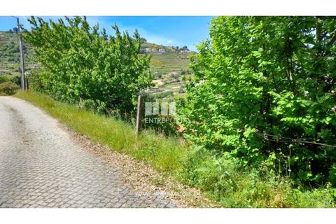 Terreno en Gestaco, Porto, Gestaco - € 82.000 | Ref: MC09662 - photo 4