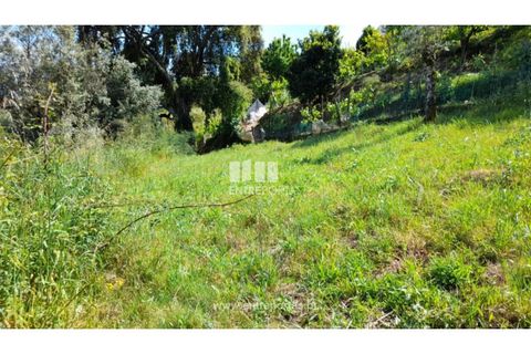 Terreno en Gestaco, Porto, Gestaco - € 82.000 | Ref: MC09662 - photo 34