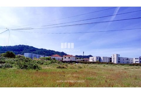 Helårsgrund i Darque, Viana do Castelo, Darque - € 350.000 | Ref: VCC14322 - foto 22